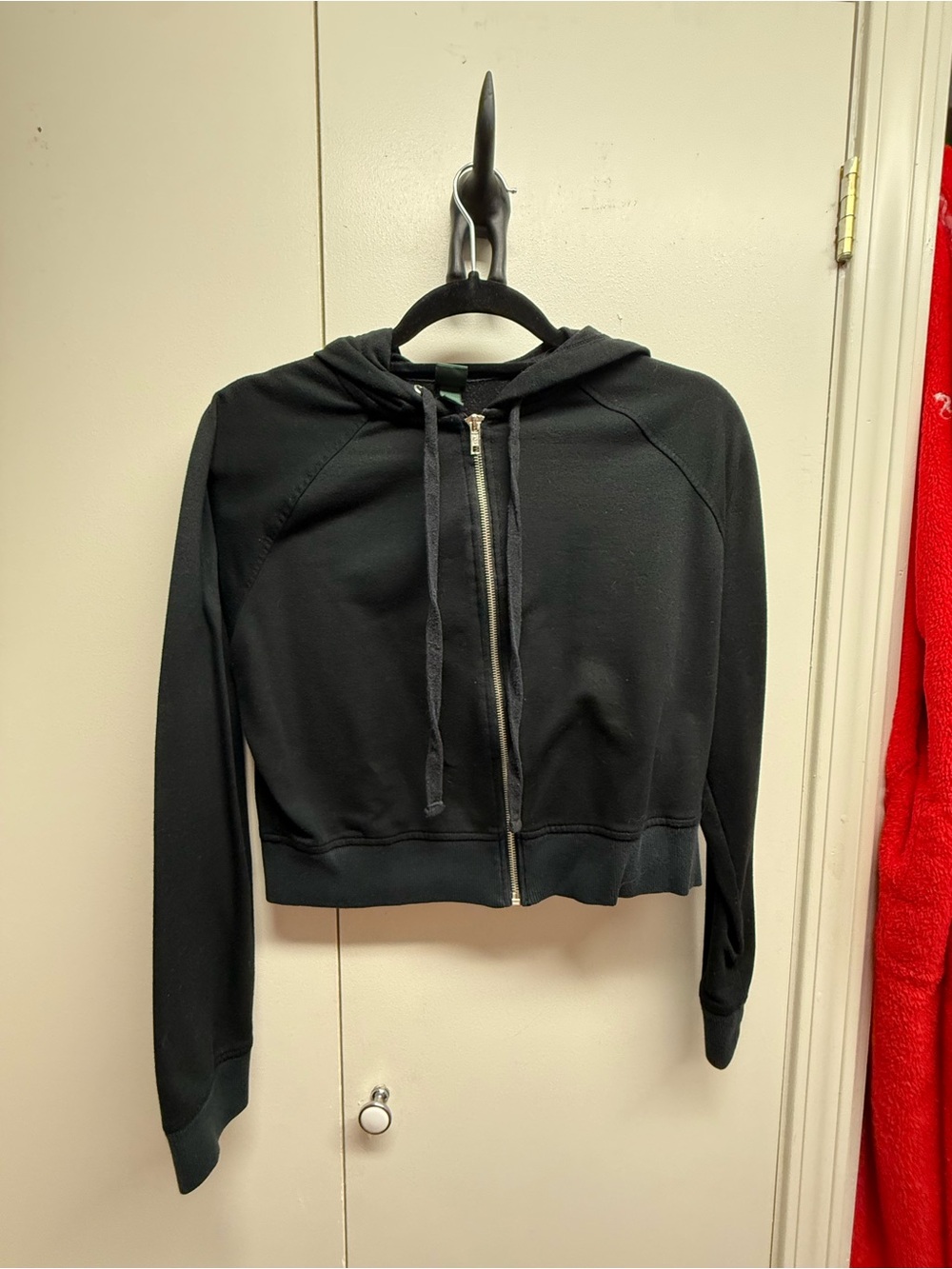 Wild fable cropped hoodie